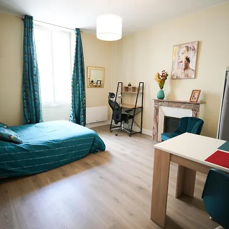 Grand Studio Neuf Centre Appartamento Angers